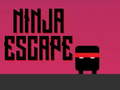 Game Ninja escape