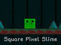 Game Square Pixel Slime
