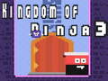 Game Kingdom of Ninja 3