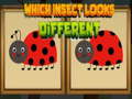 Jeu Which Insect Looks Different