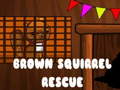 Game Brown Squirrel Rescue