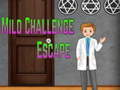 Game Amgel Mild Challenge Escape