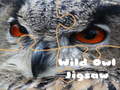 Jeu Wild owl Jigsaw
