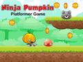 Game Ninja Pumpkin Platformer Game