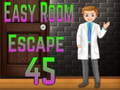 Jeu Amgel Easy Room Escape 45