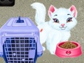 Game Baby Taylor Pet Care