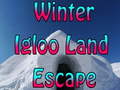 Game Winter Igloo Land Escape 