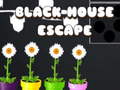 Jeu Black House Escape