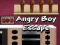 Game Angry Boy Escape
