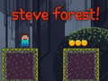 Game Steve Forest