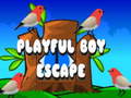Game Playful Boy Escape