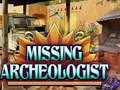Jeu Missing Archeologist