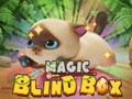 Jeu Magic Blind Box