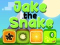 Game Jake The Snake