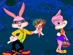 Jeu Habillage d'amour de lapin .