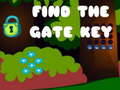 Game Find the Gate Key