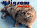 Jeu Jigsaw Master 