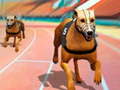 Jeu Dogs3D Races