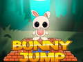 Game Bunny Jump
