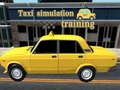 Game Taxi simulation training