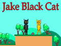 Jeu Jake Black Cat
