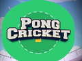 Jeu Pong Cricket