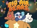 Game Big Air Bears