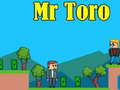Jeu Mr Toro