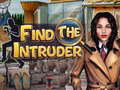 Game Find the Intruder