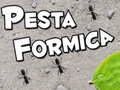 Jeu Pesta Formica