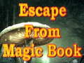 Jeu Escape From Magic Book