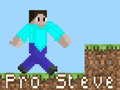 Game Pro Steve