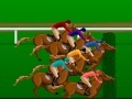 Jeu Horse Racing Steeplechase