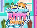 Game Doc HoneyBerry Kitty Surgery