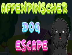 Jeu Évasion de chien Affenpinscher 