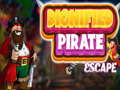 Game Dignified Pirate Escape