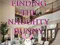 Game Finding The Naughty Bunny