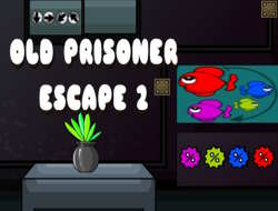 Jeu Vieux prisonnier évasion 2 