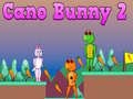 Jeu Cano Bunny 2