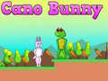Game Cano Bunny