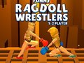 Game Funny Ragdoll Wrestlers
