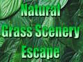 Jeu Natural Grass Scenery Escape