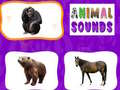 Jeu Animal Sounds