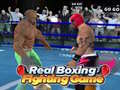 Jeu Real Boxing Fighting Game