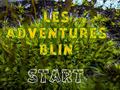 Jeu Les Adventures Blin