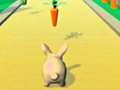 Game Rabbit Runner