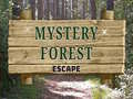 Jeu Mystery Forest