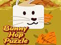 Game Bunny Hop Puzzle