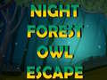 Jeu Night Forest Owl Escape