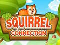 Jeu Squirrel Connection